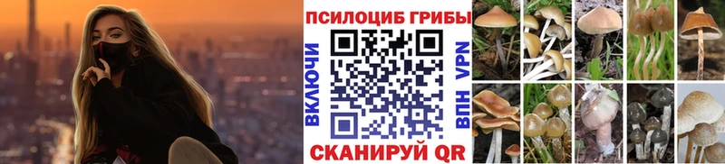 Псилоцибиновые грибы Magic Shrooms  гидра сайт  Емва 